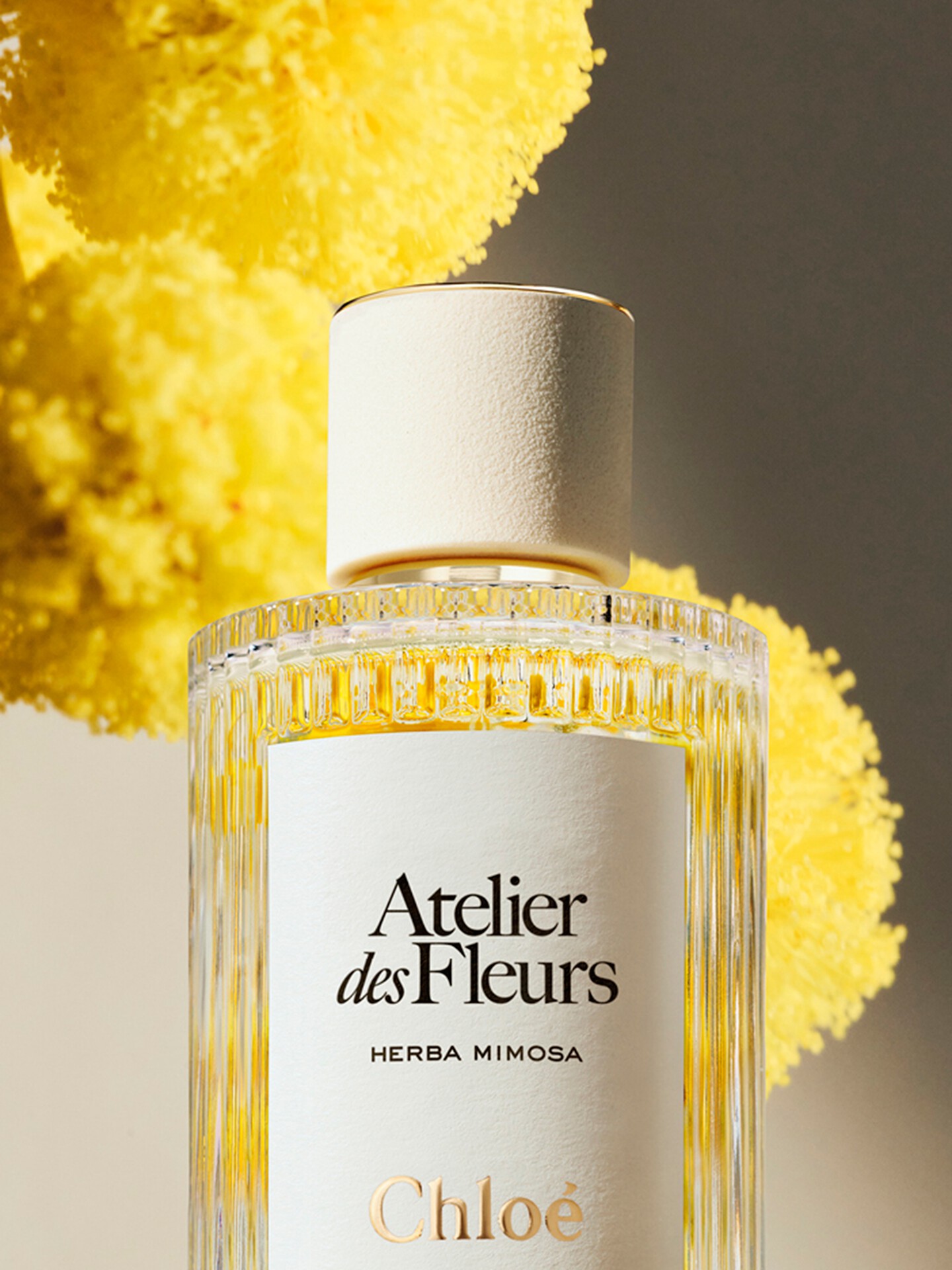 Atelier des Fleurs Herba Mimosa Eau de Parfum 5.1 fl oz - 5.0