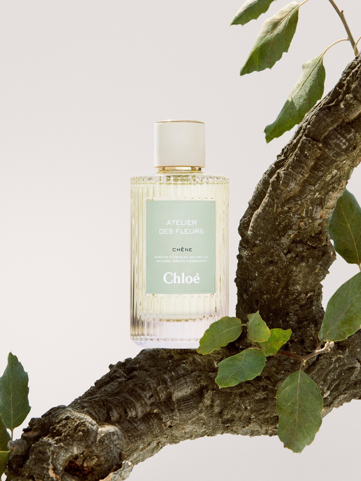 Atelier des Fleurs Ch&ecirc;ne Eau de Parfum 5.1 fl oz - 4.0