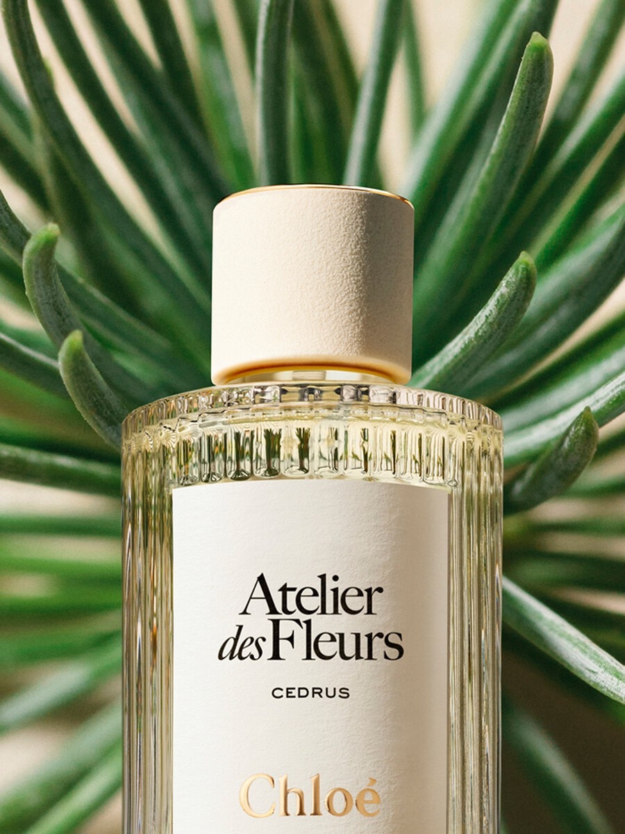 Atelier des Fleurs Cedrus Eau de Parfum 5.1 fl oz - 3