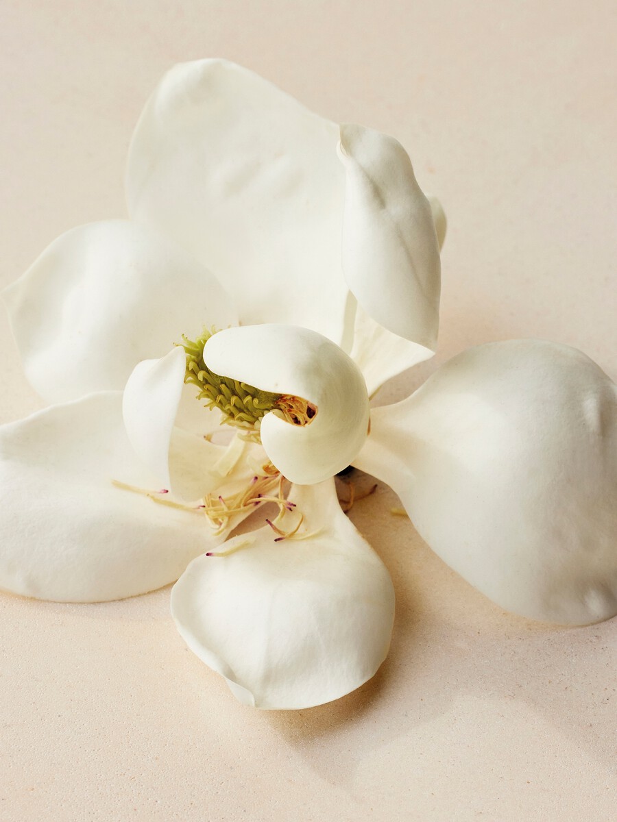 Atelier des Fleurs Magnolia Alba Solid Perfume - 4
