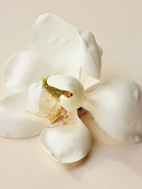 Atelier des Fleurs Magnolia Alba Perfumed Shower Gel