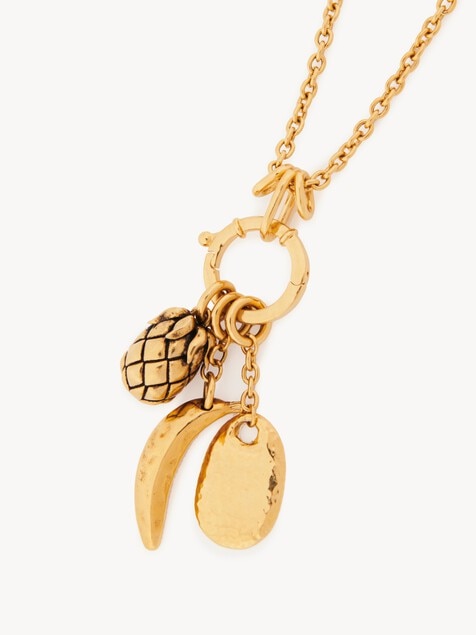 The Chlo&eacute; Charms necklace