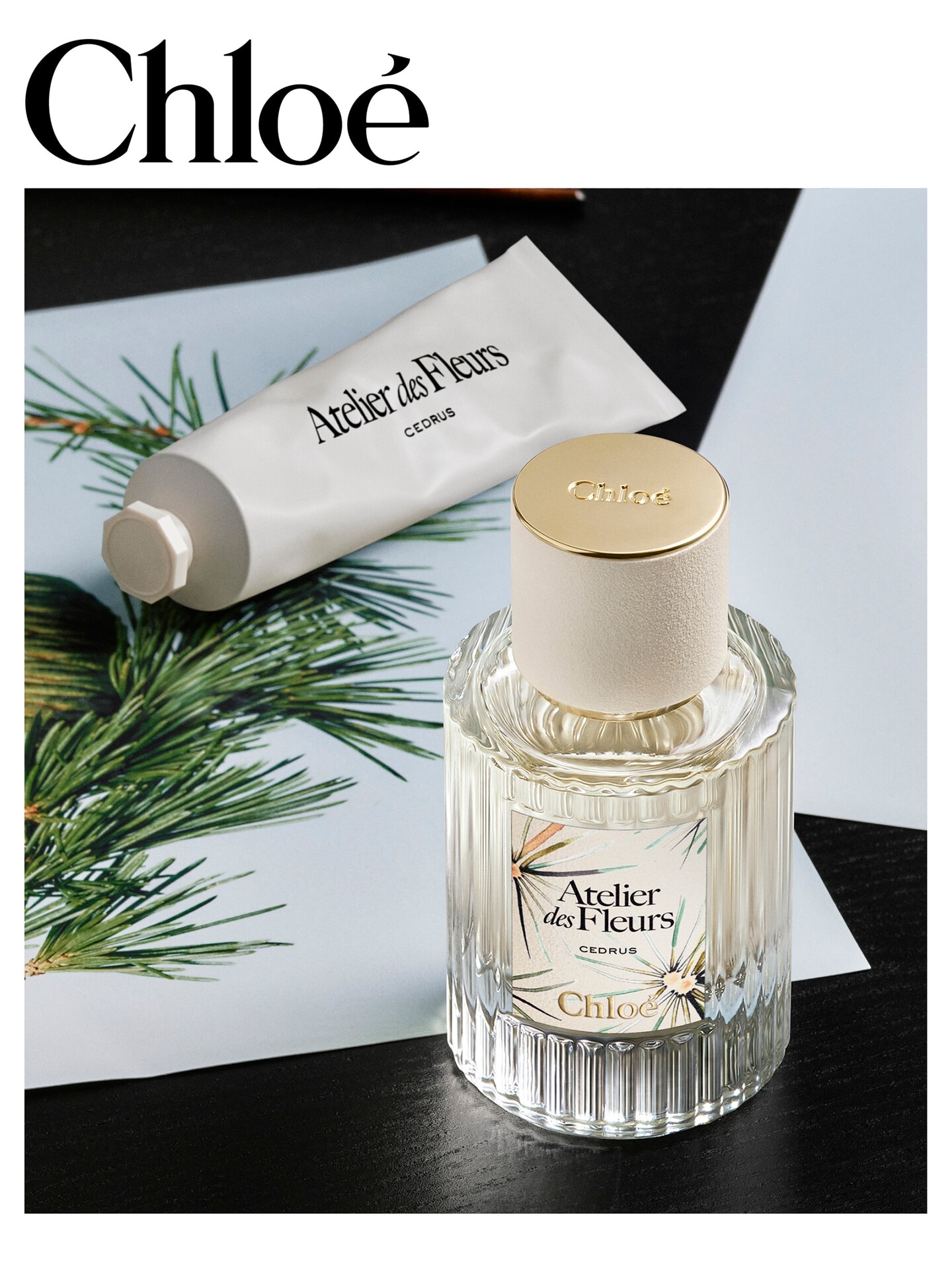 Limited-Edition Atelier des Fleurs Cedrus Eau de Parfum 1.7 fl oz - 6.0