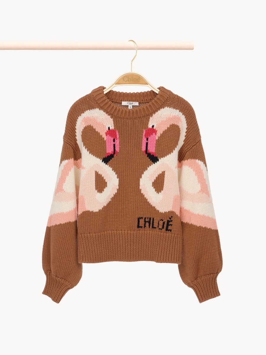 Pull &agrave; logo Enfant - 1