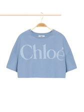 BLUE_GRAY