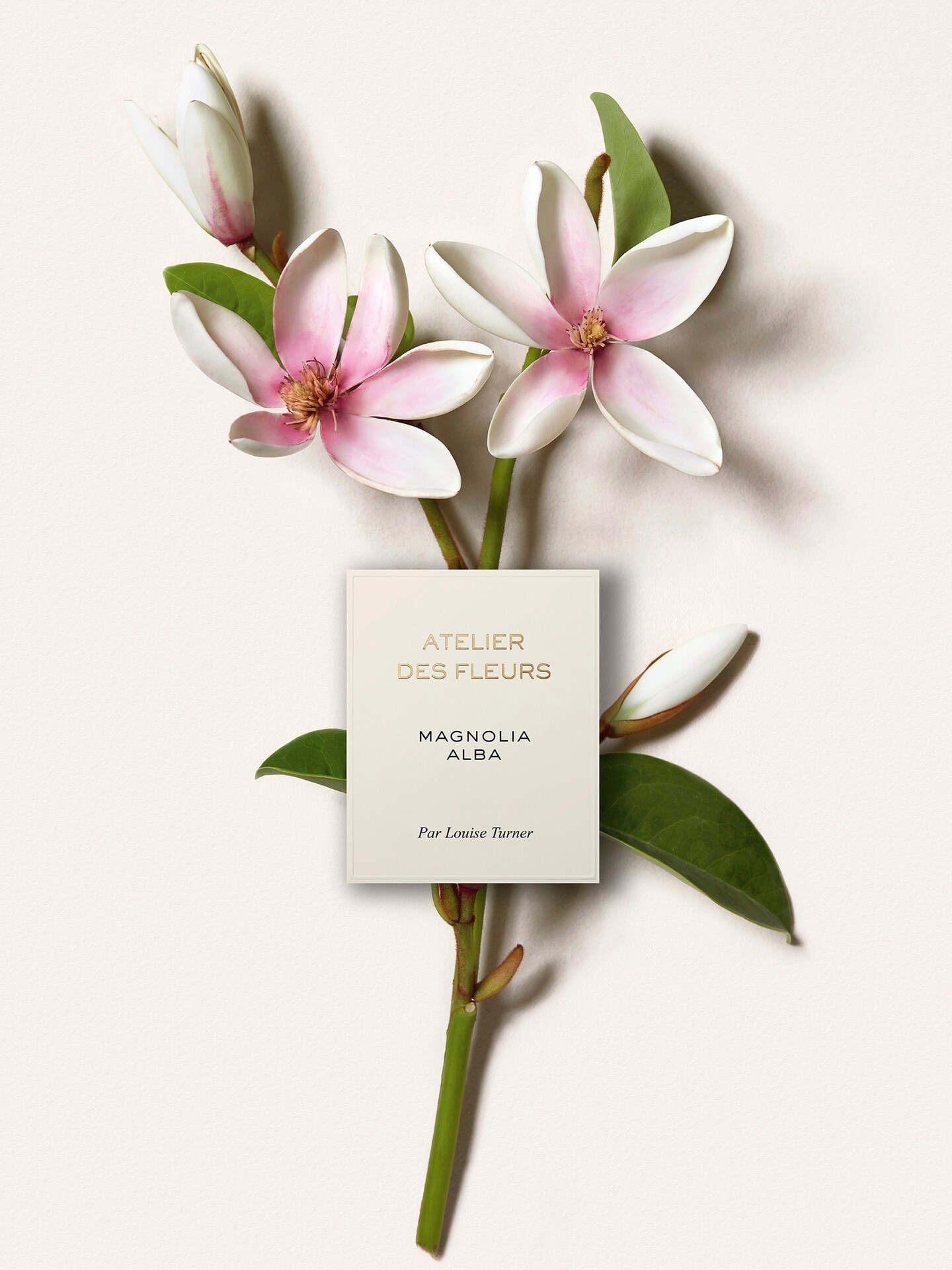Atelier des Fleurs - Coffret d&eacute;couverte parfums - 2.0