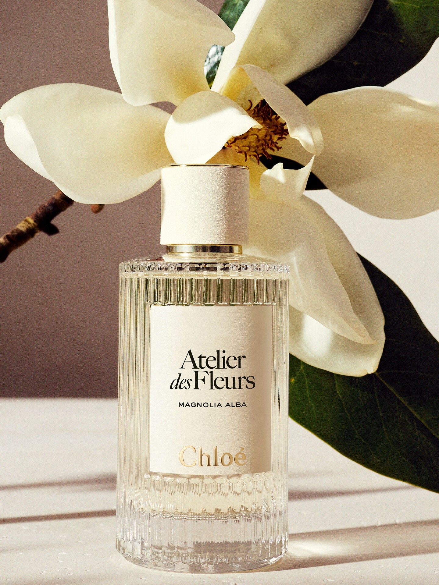 Atelier des Fleurs Magnolia Alba Eau de Parfum 1.7 fl oz - 4.0