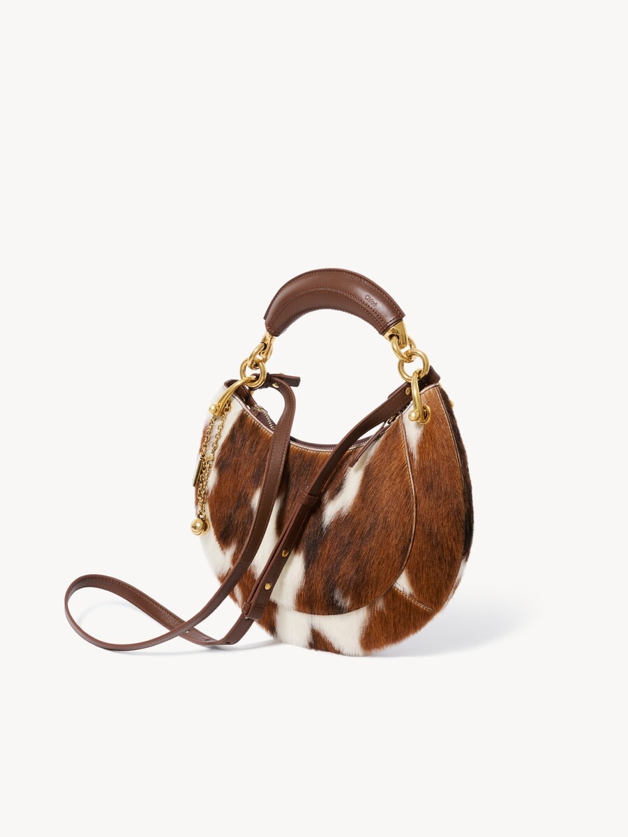 Small Chlo&eacute; Banana zipped hobo bag in hair-on leather - 4