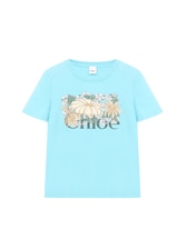 DREAMY_TURQUOISE