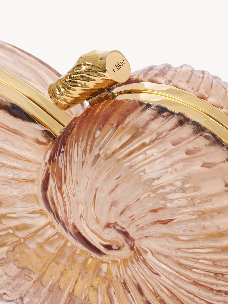 Sea Treasures shell minaudi&egrave;re in plexiglass - 5
