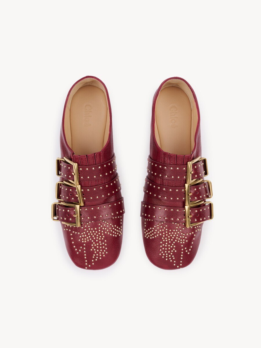 Susanna flat - 4
