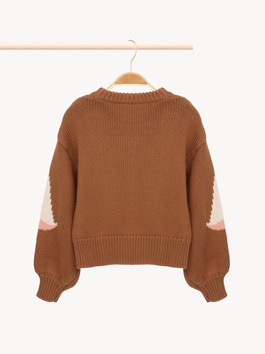Pull &agrave; logo Enfant - 2