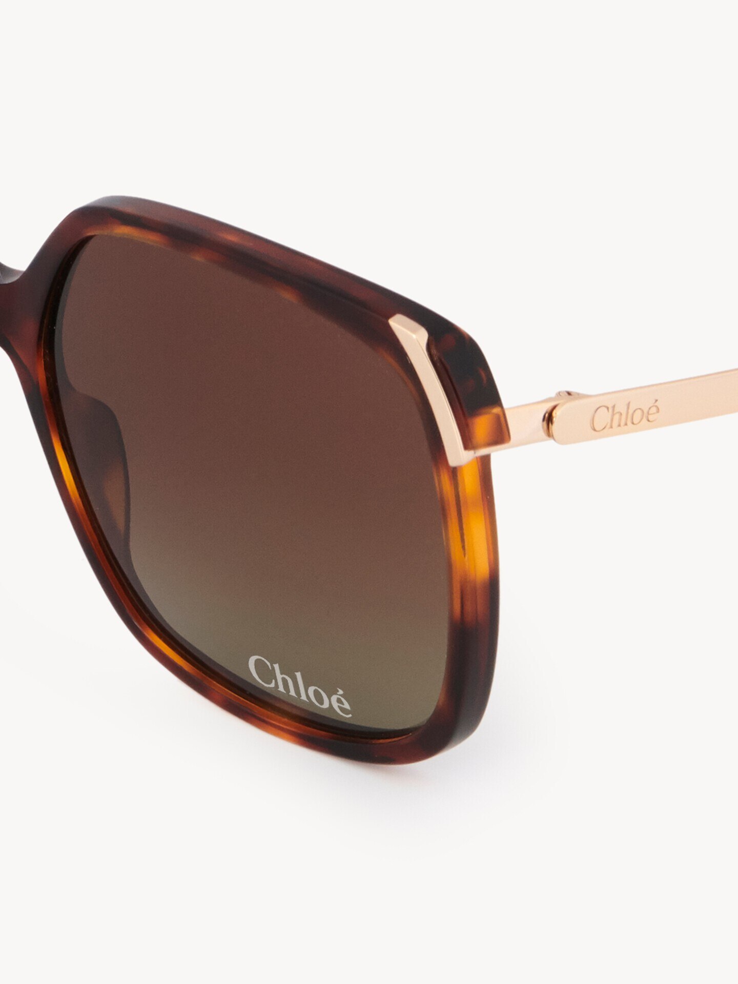 Aly sunglasses - 4.0
